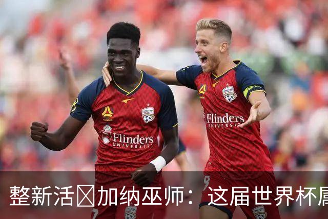 整新活😅加纳巫师：这届世界杯属于C罗葡萄牙 意外诅咒了土耳其
